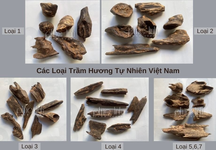 Trầm hương thiên nhiên Việt Nam